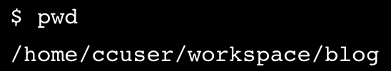 screenshot of pwd output