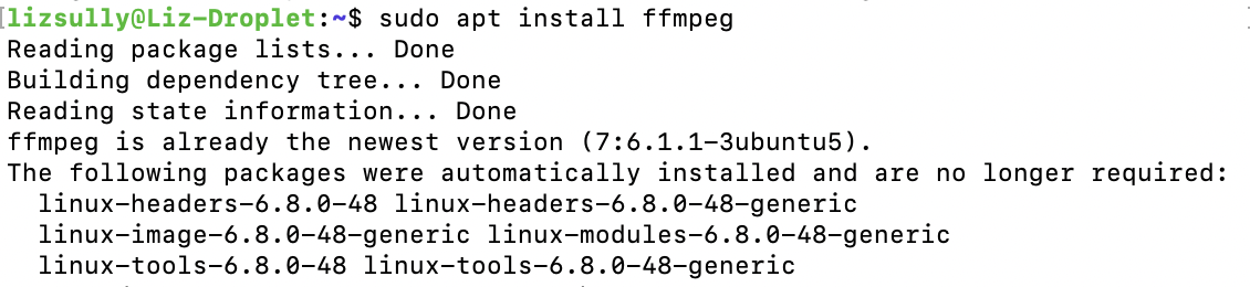 sudo apt install output screenshot of install output