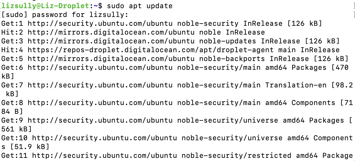 sudo apt update output screenshot of update output