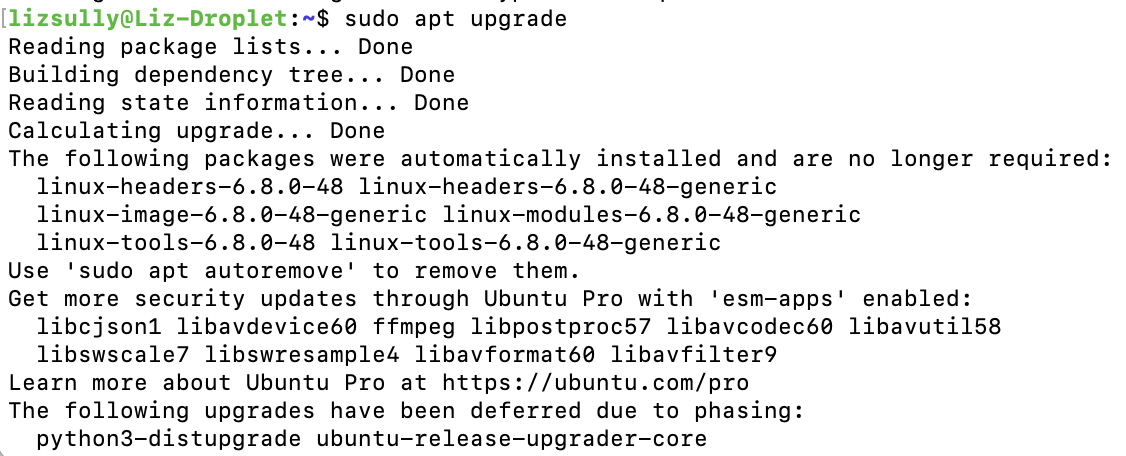 sudo apt upgrade output screenshot of upgrade output